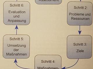 Der Pflegeprozess